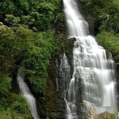 女士去屑控油洗发水哪个牌子好？